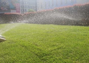 Bewaesserung Gruenanlage Wien