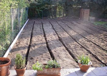 Drainagierung