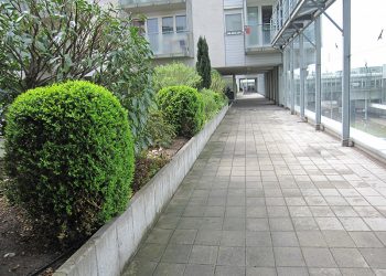 Pflegearbeiten im Beet