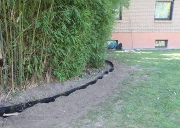 Rhizomsperre bambus