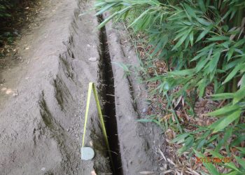 Rhizomsperre einbau