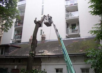 Roden mit Hebebuehnentechnik