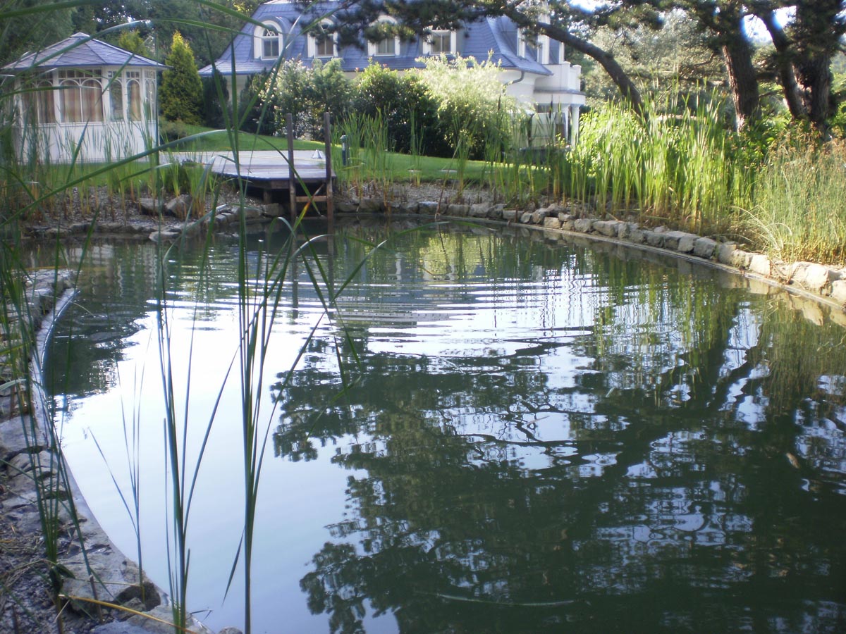 Teich nach Reinigung