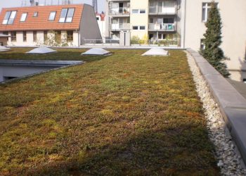 extensive Dachbegruenung auf einem Wohnhaus