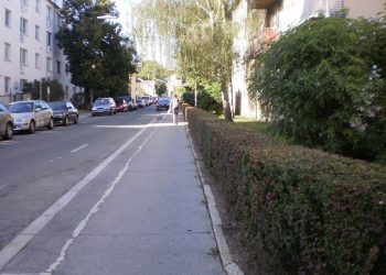nacher genschnittene Berberitzenhecke