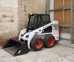 Bobcat