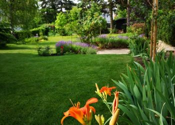 Gartengestaltung in Wien