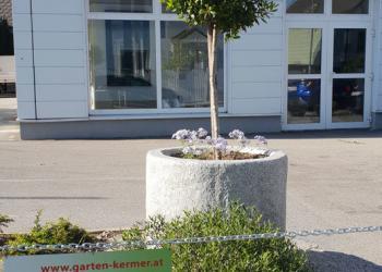 Altmannsdorf Staudenbeet 2020