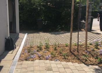 Rasengittersteine Gartenweg mit Beleuchtung